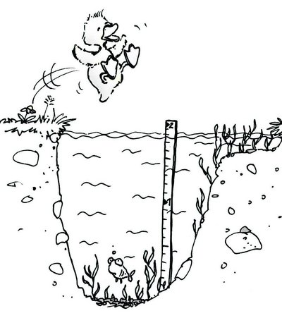 Ente springt in freies, tiefes Wasser. Zum Ausmalen.