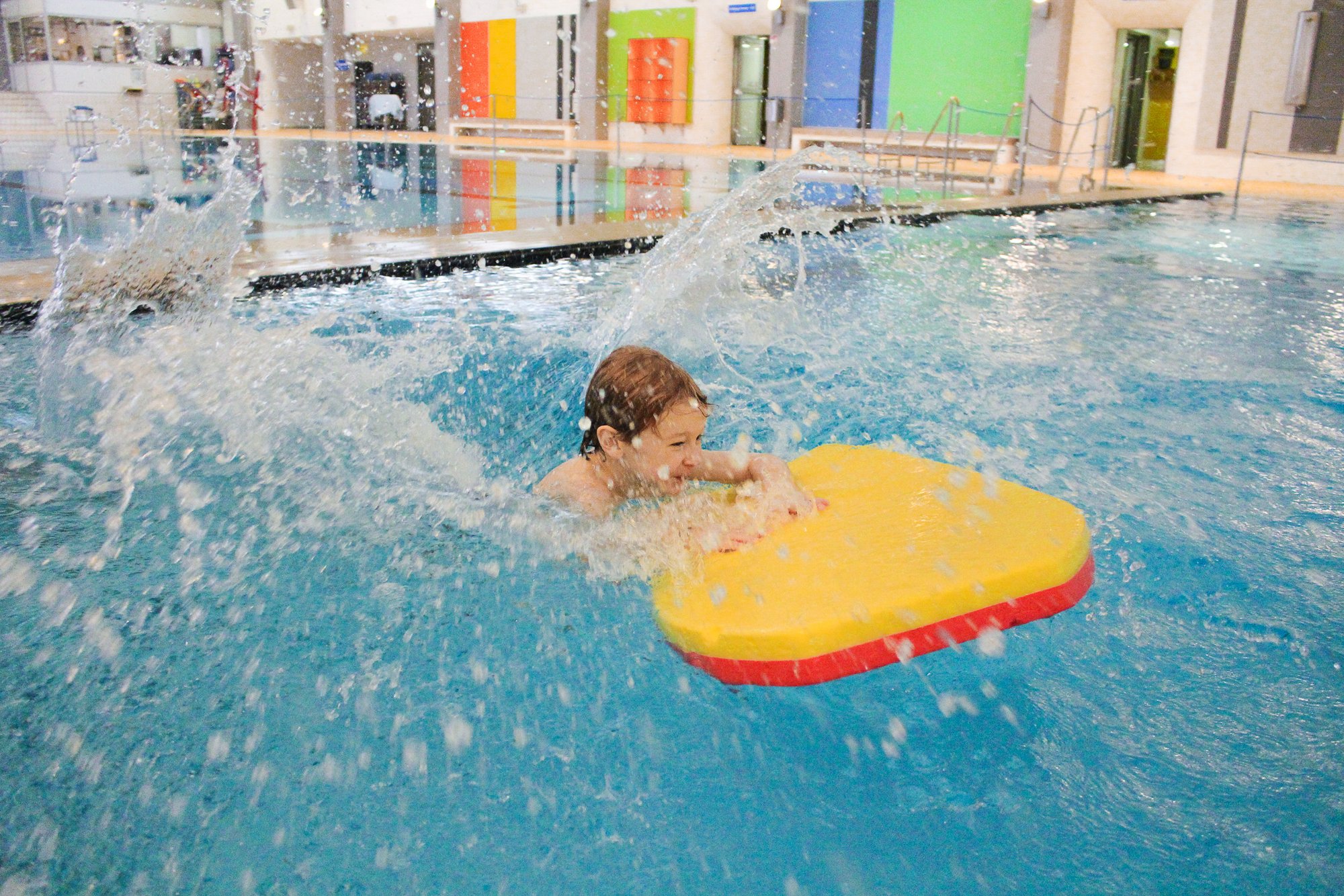 Jonte tobt fröhlich auf dem Schwimmbrett durchs Wasser 